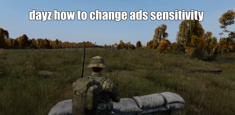 How to Adjust ADS Sensitivity in DayZ: A Step-by-Step Guide